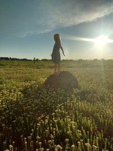 IMG_20180513_200607453_HDR